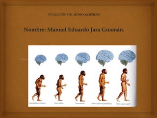EVOLUCIÓN DEL HOMO SAMPIENS
Nombre: Manuel Eduardo Jara Guamán.
 