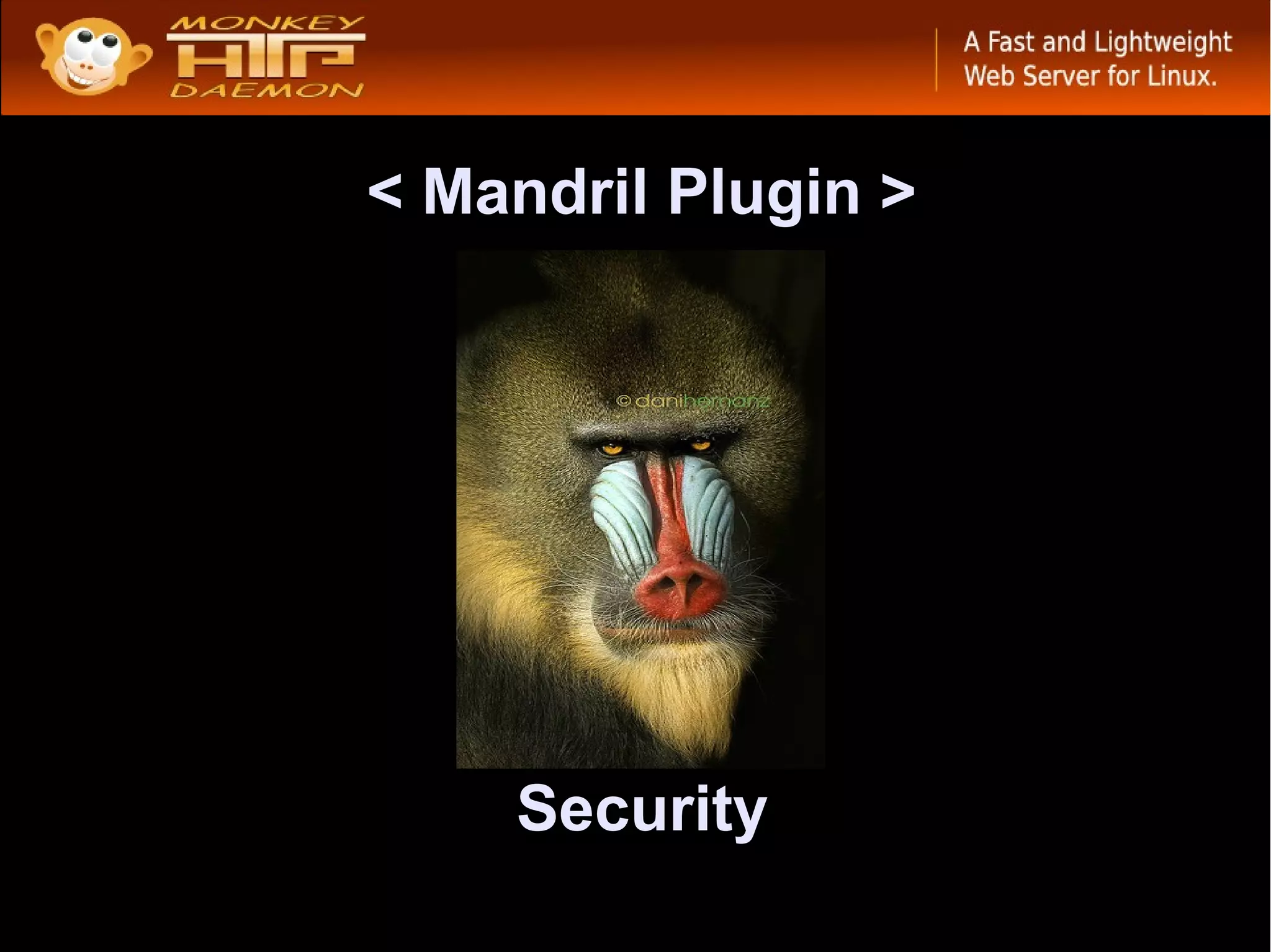 < Mandril Plugin >




    Security
 