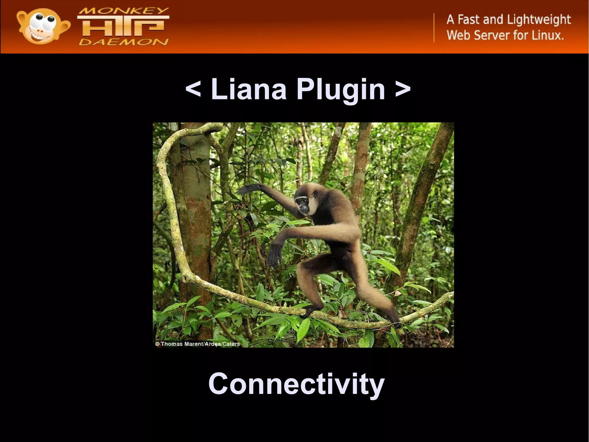 < Liana Plugin >




 Connectivity
 