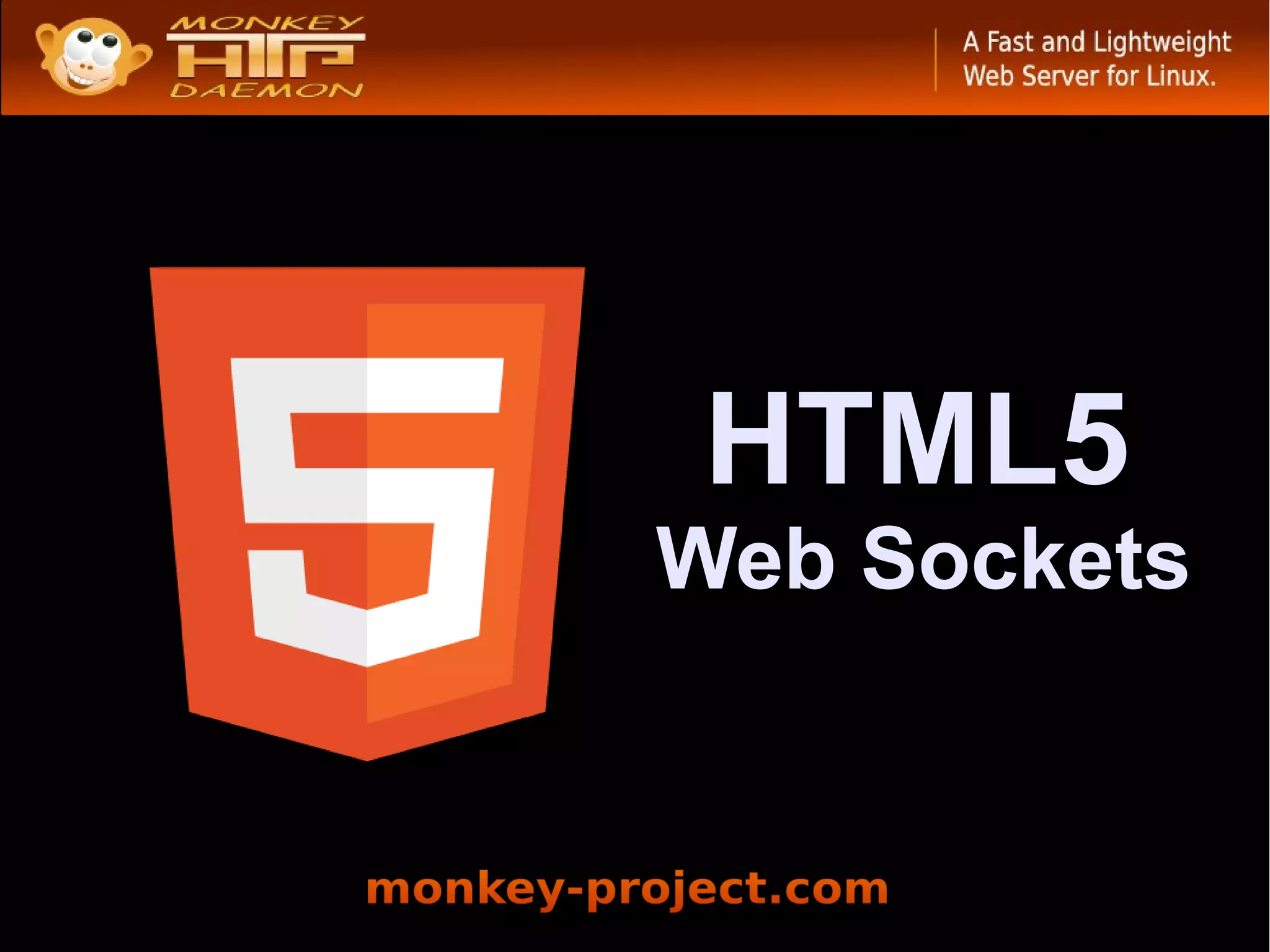 HTML5
Web Sockets
 