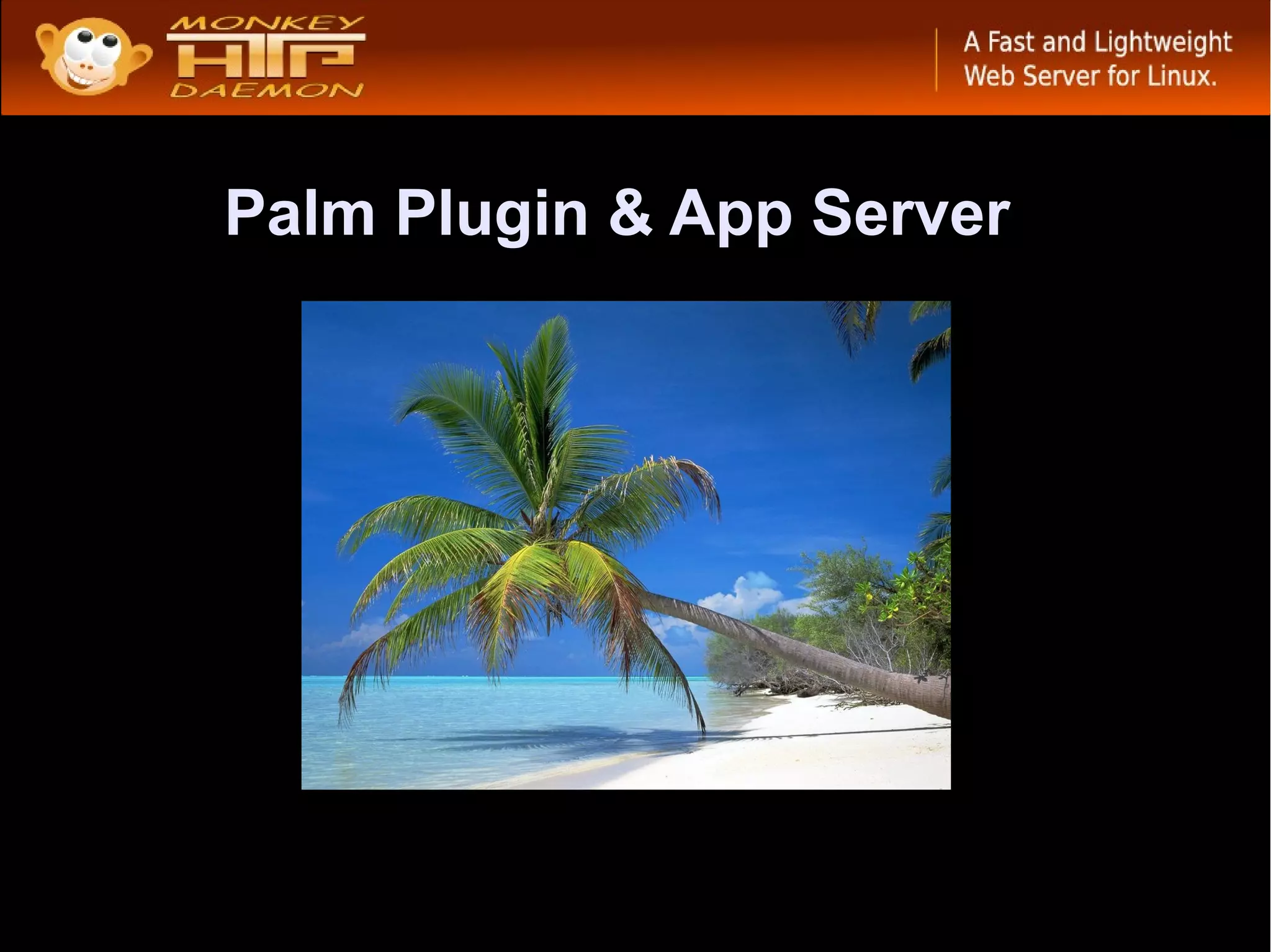 Palm Plugin & App Server
 