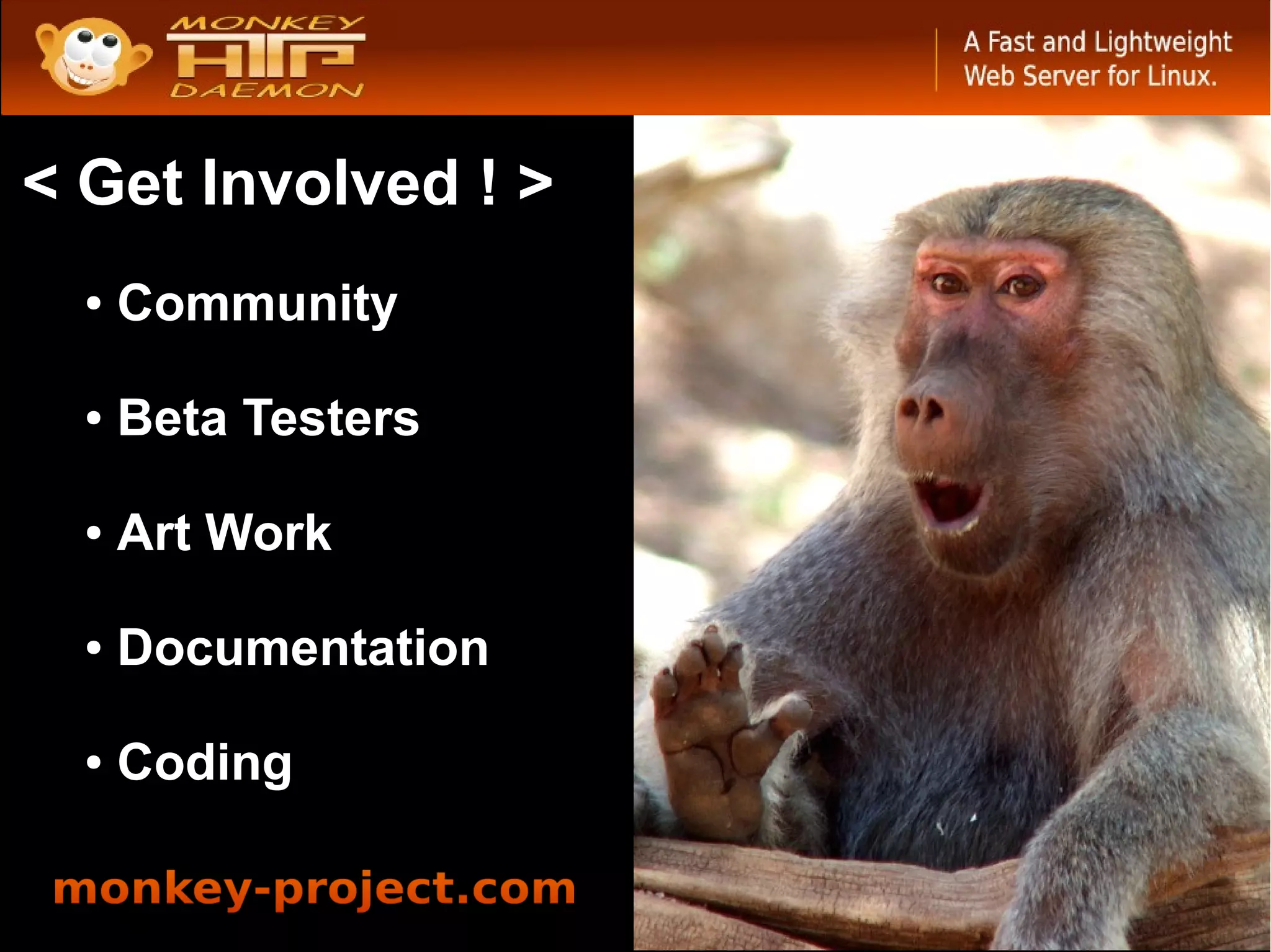 < Get Involved ! >
  ●   Community

  ●   Beta Testers

  ●   Art Work

  ●   Documentation

  ●   Coding
 