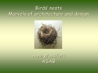Birds’ nests
Marvels of architecture and design
Anne Woodfield
ASAB
 