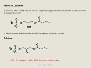 Fatty Acid Oxidation
a. How many NADH, FADH2, CO2, and ATP can a single molecule generate when fully oxidized. Are there any other
byproducts remaining?
b. If a diet consisted only of this molecule, could the organism net produce glucose?
Solution:
3 CO2, 1 ATP equivalent, 9 NADH, 3 FADH2 and one molecule of OAA
Edu Assignment Help
 
