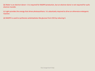 (b) Water is an electron donor—it is required for NADPH production, but an electron donor is not required for cyclic
electron transfer.
(c) Light provides the energy that drives photosynthesis. It is absolutely required to drive an otherwise endergonic
reaction.
(d) NADPH is used to synthesize carbohydrates like glucose from CO2 by reducing it.
Edu Assignment Help
 