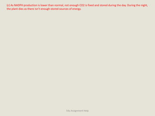 (c) As NADPH production is lower than normal, not enough CO2 is fixed and stored during the day. During the night,
the plant dies as there isn’t enough stored sources of energy.
Edu Assignment Help
 