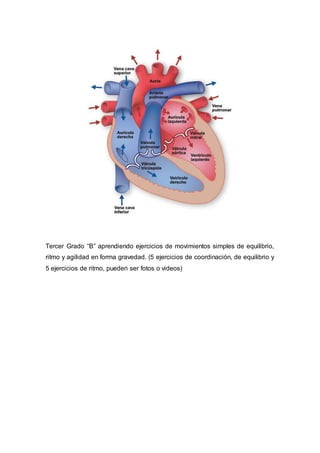 Tercer Grado “B” aprendiendo ejercicios de movimientos simples de equilibrio,
ritmo y agilidad en forma gravedad. (5 ejercicios de coordinación, de equilibrio y
5 ejercicios de ritmo, pueden ser fotos o videos)
 