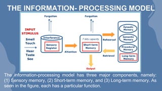 EDUC-333-INFORMATION-PROCESSING-THEORY-REPORT.pptx