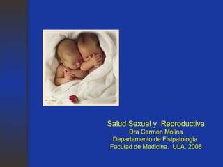 Salud Sexual y  Reproductiva Dra Carmen Molina Departamento de Fisipatologia  Faculad de Medicina.  ULA. 2008 