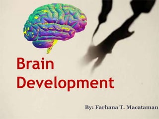 Brain
Development
By: Farhana T. Macataman
 