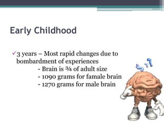 Education 1 : Brain development | PPTX