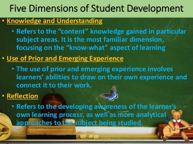 Importance of dimensions of learning picture