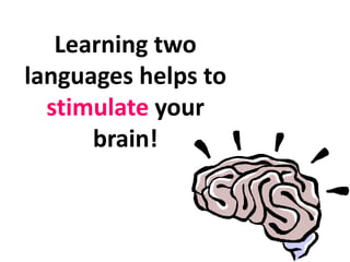 Learning two
languages helps to
stimulate your
brain!
 