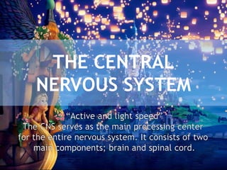 THE CENTRAL
NERVOUS SYSTEM
“Active and light speed”
The CNS serves as the main processing center
for the entire nervous system. It consists of two
main components; brain and spinal cord.
 