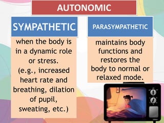 SYMPATHETIC
when the body is
in a dynamic role
or stress.
(e.g., increased
heart rate and
breathing, dilation
of pupil,
sweating, etc.)
PARASYMPATHETIC
maintains body
functions and
restores the
body to normal or
relaxed mode.
AUTONOMIC
 