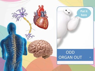 ODD
ORGAN OUT
Put it
here
 
