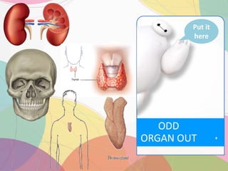 ODD
ORGAN OUT
Put it
here
 