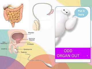 ODD
ORGAN OUT
Put it
here
 