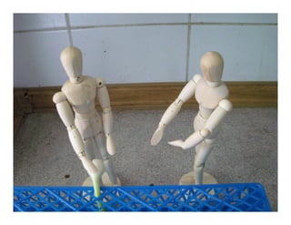 EDUC285 Storyboard: LIVE2EAT