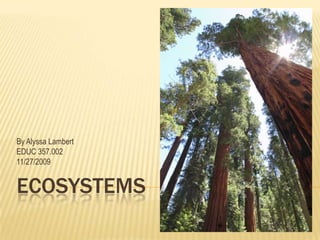 Ecosystems By Alyssa Lambert EDUC 357.002 11/27/2009 