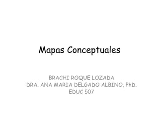 Mapas Conceptuales
BRACHI ROQUE LOZADA
DRA. ANA MARIA DELGADO ALBINO, PhD.
EDUC 507
 