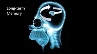 Long-term
Memory
 