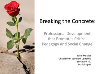 Breaking the Concrete:
 Professional Development
   that Promotes Critical
Pedagogy and Social Change

                          Isabel Morales
        University of Southern California
                           Education 700
                            Dr. Gallagher
 