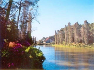 História da RegiãoDiversidade CulturalSaúde eMeio AmbienteEDUCAÇÃO AMBIENTALLegislaçãoAmbientalSustentabilidaderegionallocalMudança de hábitos, da relação de consumo