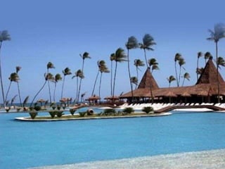 Instituto A Vez do MestreEducação AmbientalManausAndré Luiz dos Santos de OliveiraFazer parte da estrutura curricularCampanhas preventivasNas Empresas PrivadasNa Escola de Ensino Fundamental e MédioPalestras para as famíliasNão depositar produtos químicos nas águas continentaisEDUCAÇÃO AMBIENTALDivulgação através das associações de bairrosPalestras com comunitáriosInstituiçõesPúblicasNas ComunidadesReverter recursos para ampliação de projetosAparelhar os órgãos responsáveis pela questão ambiental para um melhor desempenho no combate aos crimes ambientais