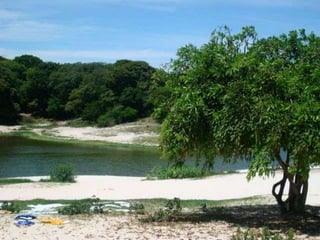 Instituto A Vez do MestreEducação AmbientalPosseLeila Elizardo da Cruz Valente