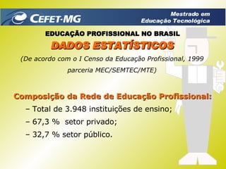 Composição da Rede de Educação Profissional: Total de 3.948 instituições de ensino; 67,3 %  setor privado; 32,7 % setor público. DADOS ESTATÍSTICOS (De acordo com o I Censo da Educação Profissional, 1999 parceria MEC/SEMTEC/MTE) EDUCAÇÃO PROFISSIONAL NO BRASIL Mestrado em Educação Tecnológica 