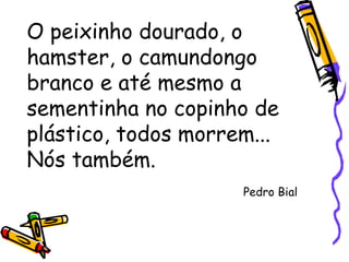 O peixinho dourado, o hamster, o camundongo branco e até mesmo a sementinha no copinho de plástico, todos morrem... Nós também. Pedro Bial 