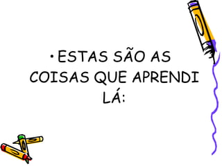 ESTAS SÃO AS COISAS QUE APRENDI LÁ: 