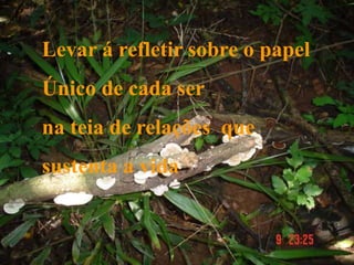 Levar á refletir sobre o papel
Único de cada ser
na teia de relações que
sustenta a vida
 