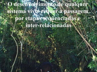 O desenvolvimento de qualquer
sistema vivo requer a passagem
por etapas seqüenciadas e
inter-relacionadas
 