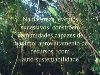 Na natureza, eventos
sucessivos constroem
comunidades capazes de
máximo aproveitamento de
recursos com
auto-sustentabilidade
 