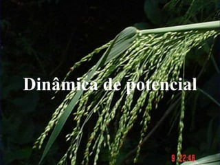 Dinâmica de potencial
 
