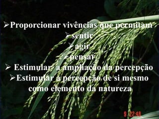 Proporcionar vivências que permitam
sentir
agir
pensar
 Estimular a ampliação da percepção
Estimular a percepção de si mesmo
como elemento da natureza
 