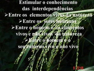 Estimular o conhecimento
das interdependências
Entre os elementos vivos da natureza
Entre os seres humanos
Entre o homem e os elementos
vivos e não vivos da natureza
Entre o homem e o
seu entorno vivo e não vivo
 