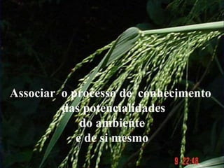 Associar o processo de conhecimento
das potencialidades
do ambiente
e de si mesmo
 