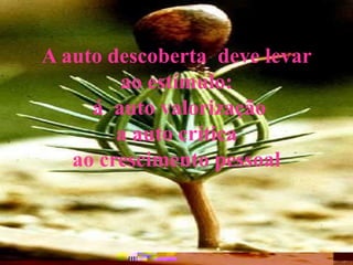 A auto descoberta deve levar
ao estímulo:
á auto valorização
a auto crítica
ao crescimento pessoal
 