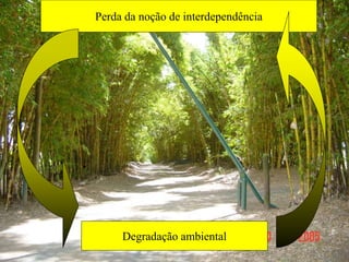 Perda da noção de interdependência
Degradação ambiental
 