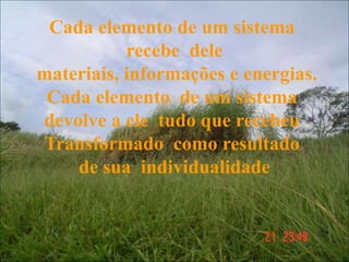 Cada elemento de um sistema
recebe dele
materiais, informações e energias.
Cada elemento de um sistema
devolve a ele tudo que recebeu
Transformado como resultado
de sua individualidade
 