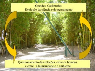 Grandes Catástrofes
Evolução da ciência e do pensamento
Questionamento das relações entre os homens
e entre a humanidade e o ambiente
 