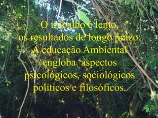 O trabalho é lento,
os resultados de longo prazo:
A educação Ambiental
engloba aspectos
psicológicos, sociológicos
políticos e filosóficos.
 