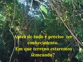 Antes de tudo é preciso ter
conhecimento.
Em que terreno estaremos
semeando?
 