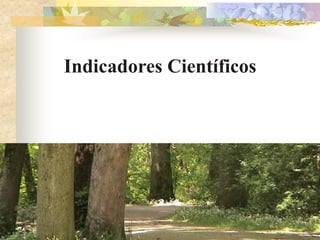 Indicadores Científicos
 