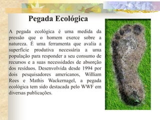 Pegada Ecológica
A pegada ecológica é uma medida da
pressão que o homem exerce sobre a
natureza. É uma ferramenta que avalia a
superfície produtiva necessária a uma
população para responder a seu consumo de
recursos e a suas necessidades de absorção
dos resíduos. Desenvolvida desde 1994 por
dois pesquisadores americanos, William
Rees e Mathis Wackernagel, a pegada
ecológica tem sido destacada pelo WWF em
diversas publicações.
 