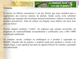 Consumo

O excesso de hábitos consumistas é um dos fatores que mais contribui para o
esgotamento das reservas naturais do planeta. Sendo assim, evite substituir
aparelhos que agregam alta tecnologia desnecessariamente e reduza o consumo de
produtos descartáveis. Além de reduzir sua Pegada, esses hábitos vão fazer bem
para seu bolso!

Procure adquirir produtos “verdes”, de empresas que estejam envolvidas em
programas de responsabilidade socioambiental e certificadas com o ISO 14000
(certificação ambiental).

Ao comprar carvão, verifique na embalagem se o produto é registrado no
IBAMA. Quando não há registro, a madeira usada para produzir o carvão é de
origem ilegal, o que significa que parte de alguma floresta foi cortada e queimada
sem autorização.
 