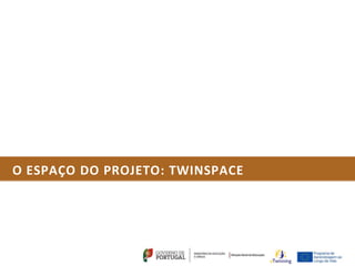 O ESPAÇO DO PROJETO: TWINSPACE
 